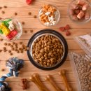 이가소프트 이미지