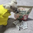 아모스팜 | 애견간식 강아지간식 반려견간식 애견영양제 반려견영양제 ] 아모스팜 견수무강 The 콜라겐 섭취후기