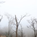 "석가탄신일 연휴기간" 가격할인 특가 일본 100명산 히코산트레킹 + 큐슈올레 섬 트레킹 무나가타 05/25일(목)~05/28일(일) 이미지