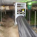 장미하우스 이미지