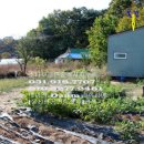 송해면-6 이미지