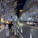 송현프라자 옆 횡단보도 | 롯폰기 힐즈 케야키자카 일루미네이션 후기 | 도쿄 겨울 야경·포토스팟·12월 방문기