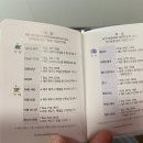 한일애견