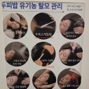 하하쭈꾸미(화성남양점) | [화성/남양] 두피케어로 추천하는 '두피밥 화성시청점' 후기