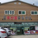 내덕동 맛집] 폴비락 한우리, 축산물유통센터 옆에서 찾은 인생 왕갈비탕 후기(주차, 메뉴, 휴무일 정보)