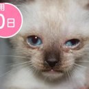 케이지케미컬 | 케이즈 마이스터