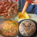 광성 | 속초 홍게 맛집 추천 광성홍게장군 홍게 무한리필 후기