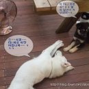 공감 이미지