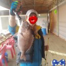 스타바다좌대낚시터 이미지