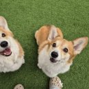 바우라움 메인캠퍼스 이미지