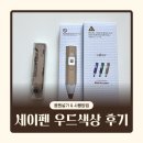 레인PC | 세이펜 레인온펜: 우드 색상 후기(음원 넣기, 사용법, 종류, 사용팁)