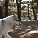 이태원 경리단길 공감 이미지