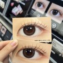 하파크리스틴 올리브영 센트럴강남타운점 네이버블로그