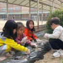 남산초병설유치원 이미지