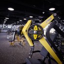 비엔헬스 이미지