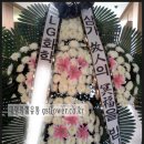 대명화훼유통 - 서구 매월4로 14 | 대명화훼유통