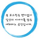 분당-363 네이버블로그