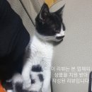 너와펫(PET) 이미지