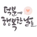 손글씨의 낭만 캘리그라피 이미지