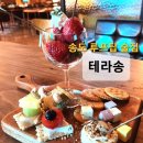 테라송