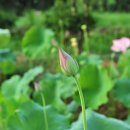 미소안경 이미지