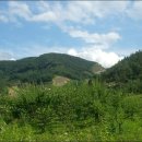 옥영농장 이미지