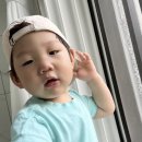 원복농장 이미지