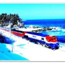 동지섣달 꽃본듯이 이미지