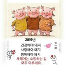 솔터농장 이미지