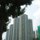 뉴대림공인중개사사무소 이미지