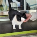 사직산19길 16-1, (문화동) | 1월 3주