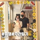 락휴코인노래연습장 진접내각리점 | [블챌] 저번주는 뭐했을까