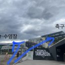 종합운동장 가로수길 이미지