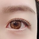 더민제이