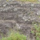 무릉도원올레 이미지