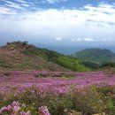 5월 9일 (토) 황매산(100대 명산) 산행안내 및 예약 이미지
