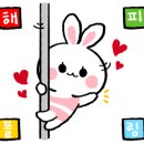 온폴댄스&PT