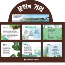 맹종죽테마파크1 이미지
