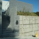 머스트화이트1동 이미지