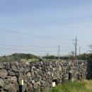 그마그로 이미지