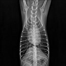 공주동물병원 이미지