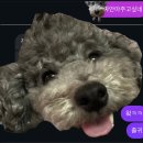 애플버블호떡 | 한라산은 활화산이라는 사실