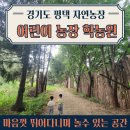 어린이학농원수영장 이미지