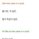 중3.7월 기말고사대비 idioms 2 이미지
