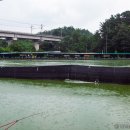 배양낚시터 이미지