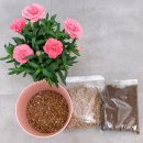 향남초등학교 이미지