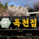 옥천 | 마산 로봇랜드 맛집 구산면 한식집 옥천집 후기