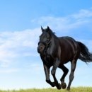 루 펜션 이미지