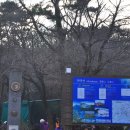 제주 자락 이미지