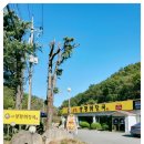 양평해장국(범서점) 이미지